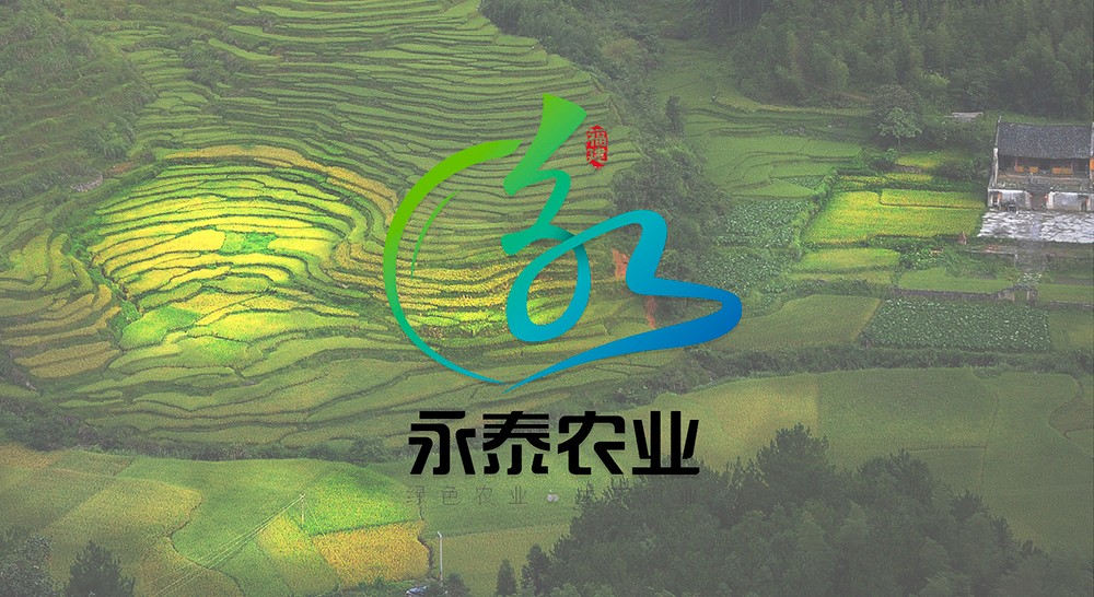 作品图集 1